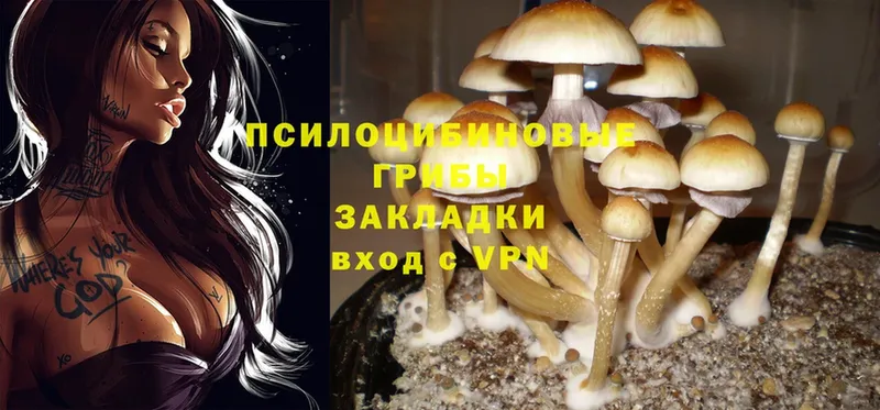 Псилоцибиновые грибы Magic Shrooms  Красноперекопск 