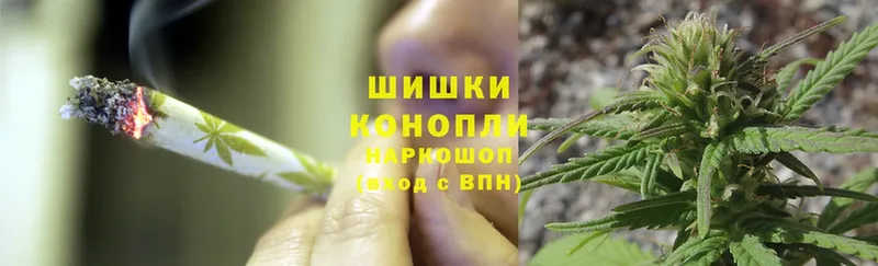 Конопля SATIVA & INDICA  Красноперекопск 